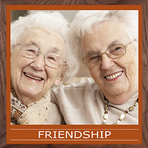 Everyday Scenes Wall Panels