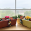 Magnetic Plant Arrangement Activity Kit