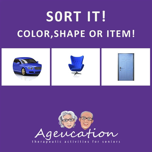 Sort Activity