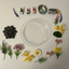 Tranquil Garden Kit Components 