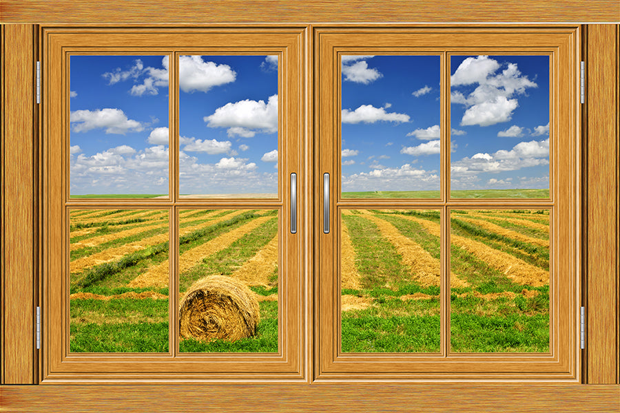 Faux Rustic Windows