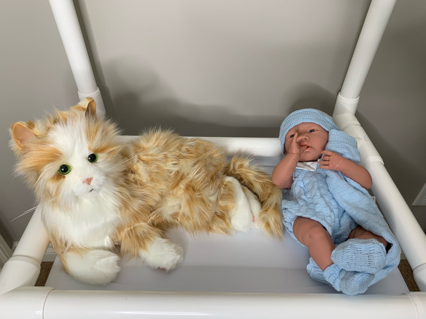 Doll and Pet therapy products