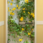 Camouflage Door Murals Single Door